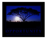 Opportunity Motivational
