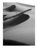 S Shadow in the Sand