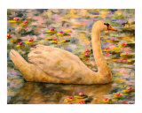 The Swan