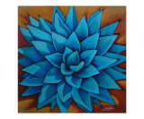 Agave II