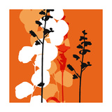 Saffron Indignation