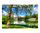 Beauty Incarnate at Central Park  NYC