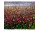 Flower field