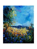 Blue Cornflowers 4505072