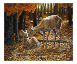 Autumn Innocence 2