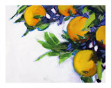 Janets Oranges 1