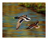 Golden Pond