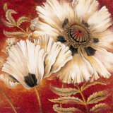 White Poppy
