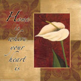 Calla Lily  Home