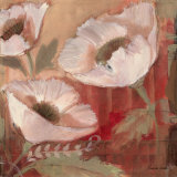 Amapola Blanca II