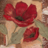 Amapola Roja I
