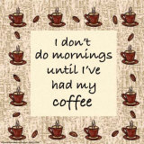 I Don't Do Mornings
