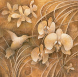 Hummingbird Ambiance I
