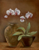 Orchid Antiquity II
