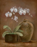 Orchid Antiquity I