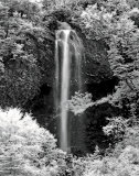 Nature's Jewel I