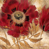 Red Poppy