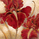 Red Iris