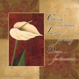 Calla Lily  Cherish Live Dream