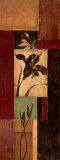 Iris Shadow