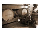 Pinot and Refrosco Barrels