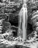 Nature's Jewel II