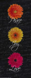 Gerbers on Black: Peace  Love  Joy