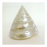 Shell I