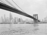 Brooklyn Bridge and Lower Manhattan  New York  New York