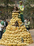Playful Orangutans  Seoul  South Korea  c2007