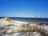 Pristine Dunes on Jekyll Island  Georgia