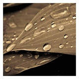 Ecoute