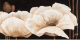 Amazing Poppies IV