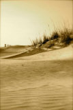 Anastasia Dunes I