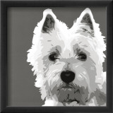 West Highland Terrier