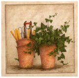 Lierre et Pots II