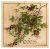 Mures