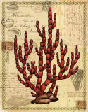 Red Coral III