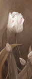 Sepia Tulip Panel I