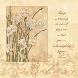 Believe  Paper Whites