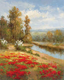 Poppy Vista I