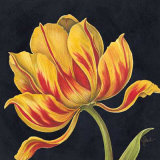 Constance Lael Prints and