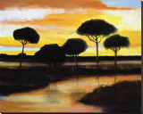 Alberi di Pisa at Sunset