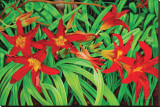 Just Lilies
