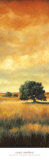 Five Oaks II