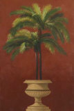 Potted Palm Red III