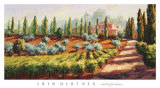 Italian Farmhouse
