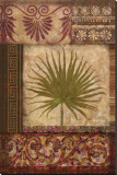Ornamental Palm I
