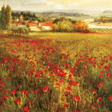 Fiori Piccoli