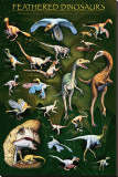 Feathered Dinosaurs I